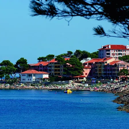 Apartment Punta